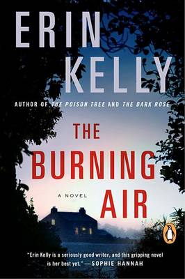 Book cover for The Burning Air