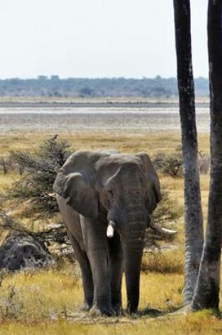 Cover of Elephant with Tusks Animal Journal