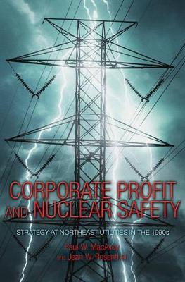 Book cover for Corporate Profit and Nuclear Safety