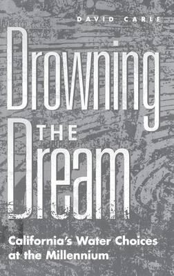 Book cover for Drowning the Dream