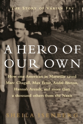 Book cover for A Hero of Our Own