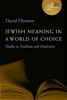 Book cover for Jewish Meaning in a World of Choice