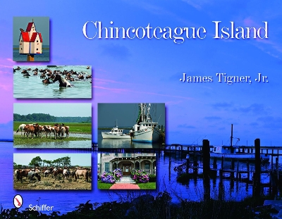 Book cover for Chincoteague Island