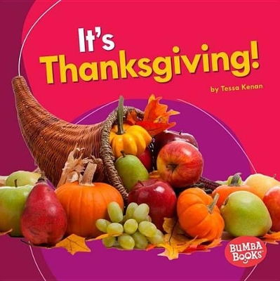 Book cover for It's Thanksgiving!