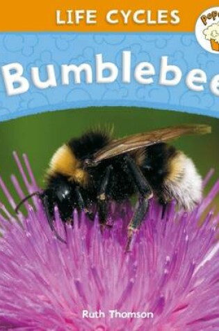 Cover of Bumblebee