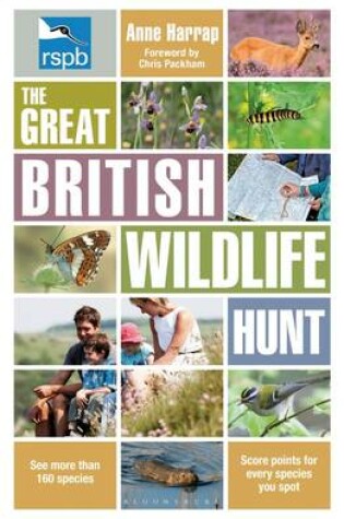 Cover of RSPB The Great British Wildlife Hunt