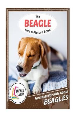 Book cover for The Beagle Fact and Picture Book