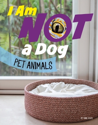 Book cover for I Am Not a Dog