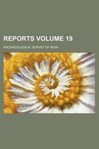 Cover of Reports Volume 19