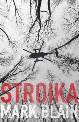 Book cover for Stroika