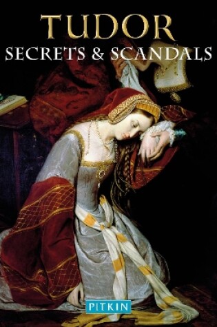 Cover of Tudor Secrets & Scandals