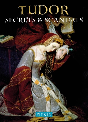 Book cover for Tudor Secrets & Scandals