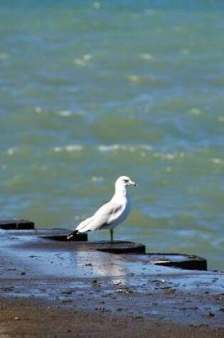 Cover of Seagull's Perch - Blank Notebook