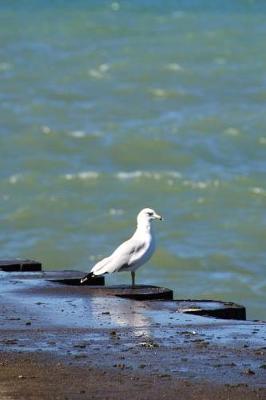 Book cover for Seagull's Perch - Blank Notebook