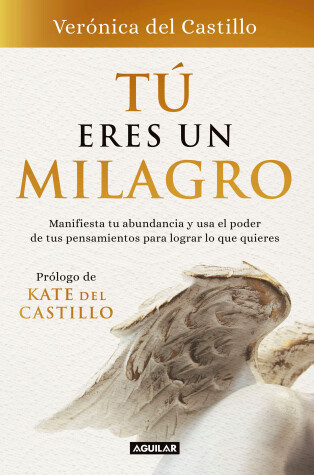 Book cover for Tu eres un milagro / You Are a Miracle