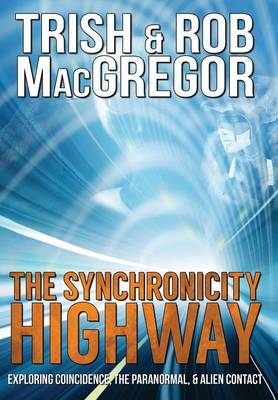 Book cover for The Synchronicity Highway