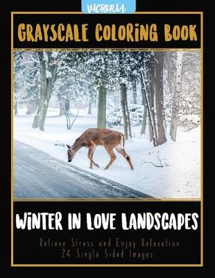 Book cover for Winter In Love Landscapes