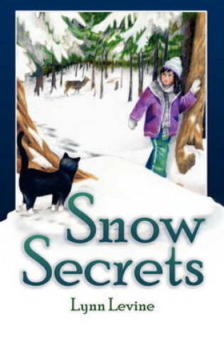 Cover of Snow Secrets