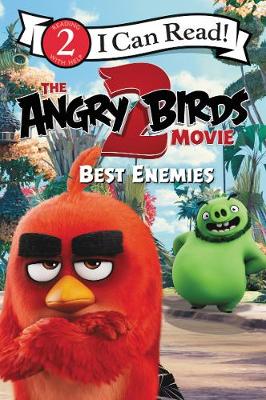 Book cover for The Angry Birds Movie 2: Best Enemies