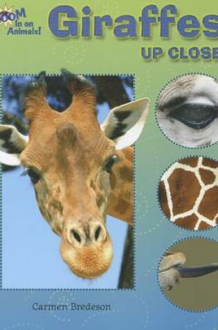 Cover of Giraffes Up Close