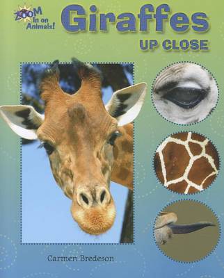 Cover of Giraffes Up Close