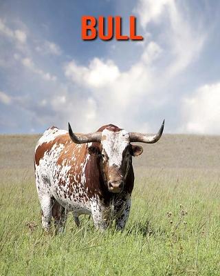 Book cover for Bull