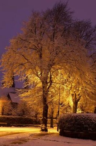 Cover of A Snow Covered Tree at Night