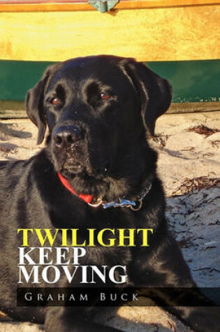 Cover of Twilight Keep Moving