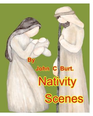 Book cover for Nativity Scene's.