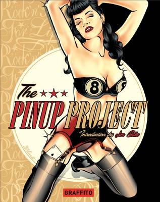 Book cover for Pinup Project