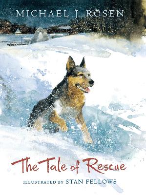 Book cover for The Tale of Rescue