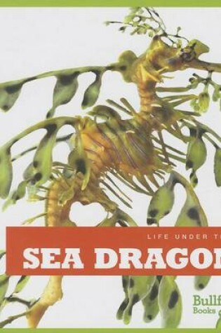 Cover of Sea Dragons