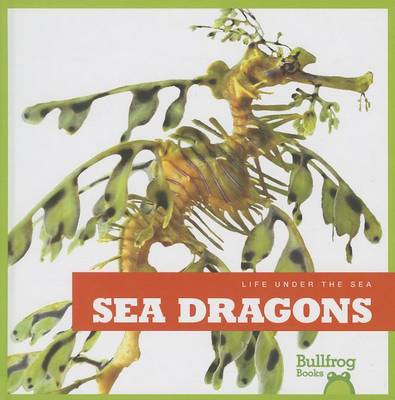 Cover of Sea Dragons