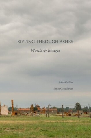 Cover of Sifting Through Ashes