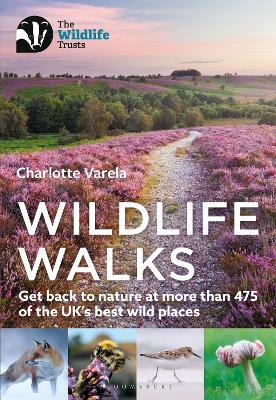 Cover of Wildlife Walks