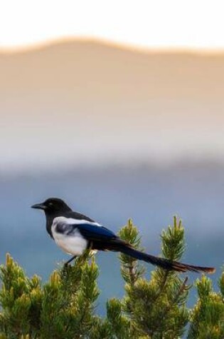 Cover of Colorado Black Billed Magpie Journal