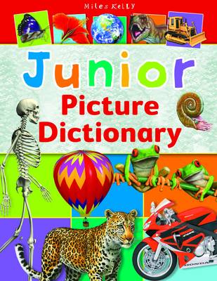 Book cover for Junior Picture Dictionary