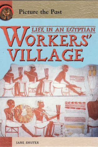Cover of Picture The Past: Life In An Egyptian Workers Village