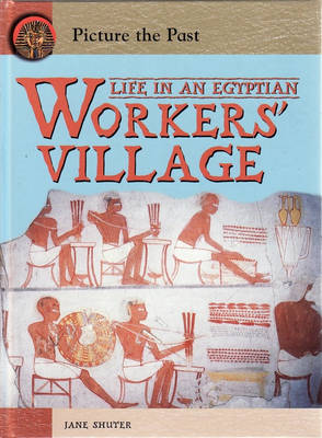 Book cover for Picture The Past: Life In An Egyptian Workers Village