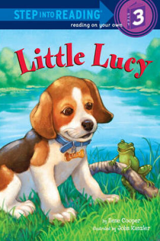 Cover of Little Lucy