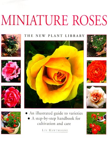 Cover of Miniature Roses