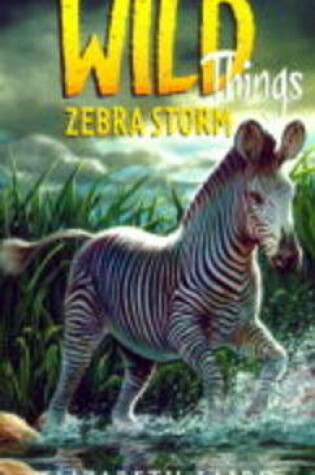 Cover of Zebra Storm