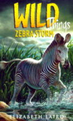 Book cover for Zebra Storm