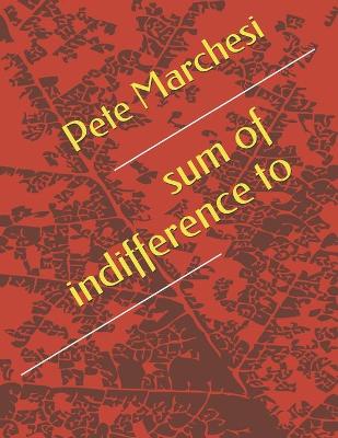 Book cover for sum of indifference to