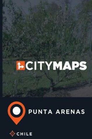 Cover of City Maps Punta Arenas Chile