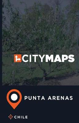 Book cover for City Maps Punta Arenas Chile