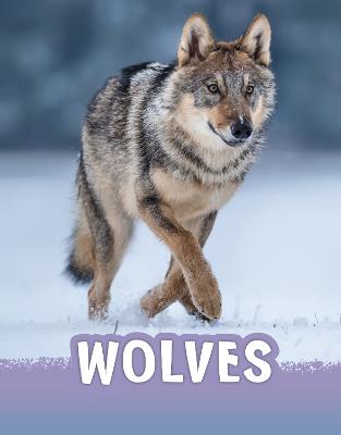 Book cover for Wolves