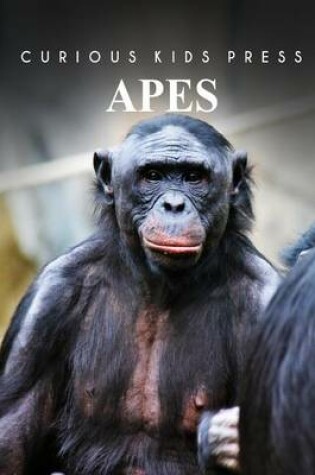 Cover of Apes - Curious Kids Press