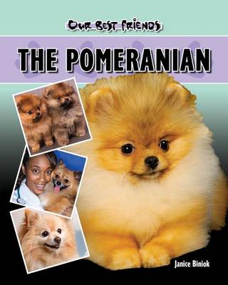 Cover of Pomeranian