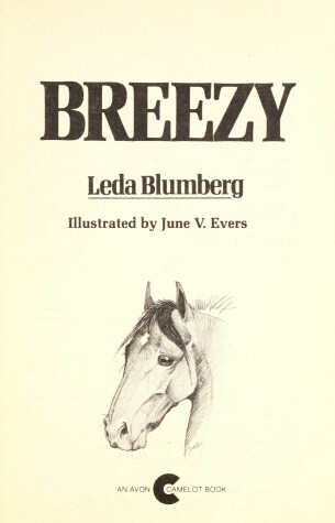 Book cover for Breezy